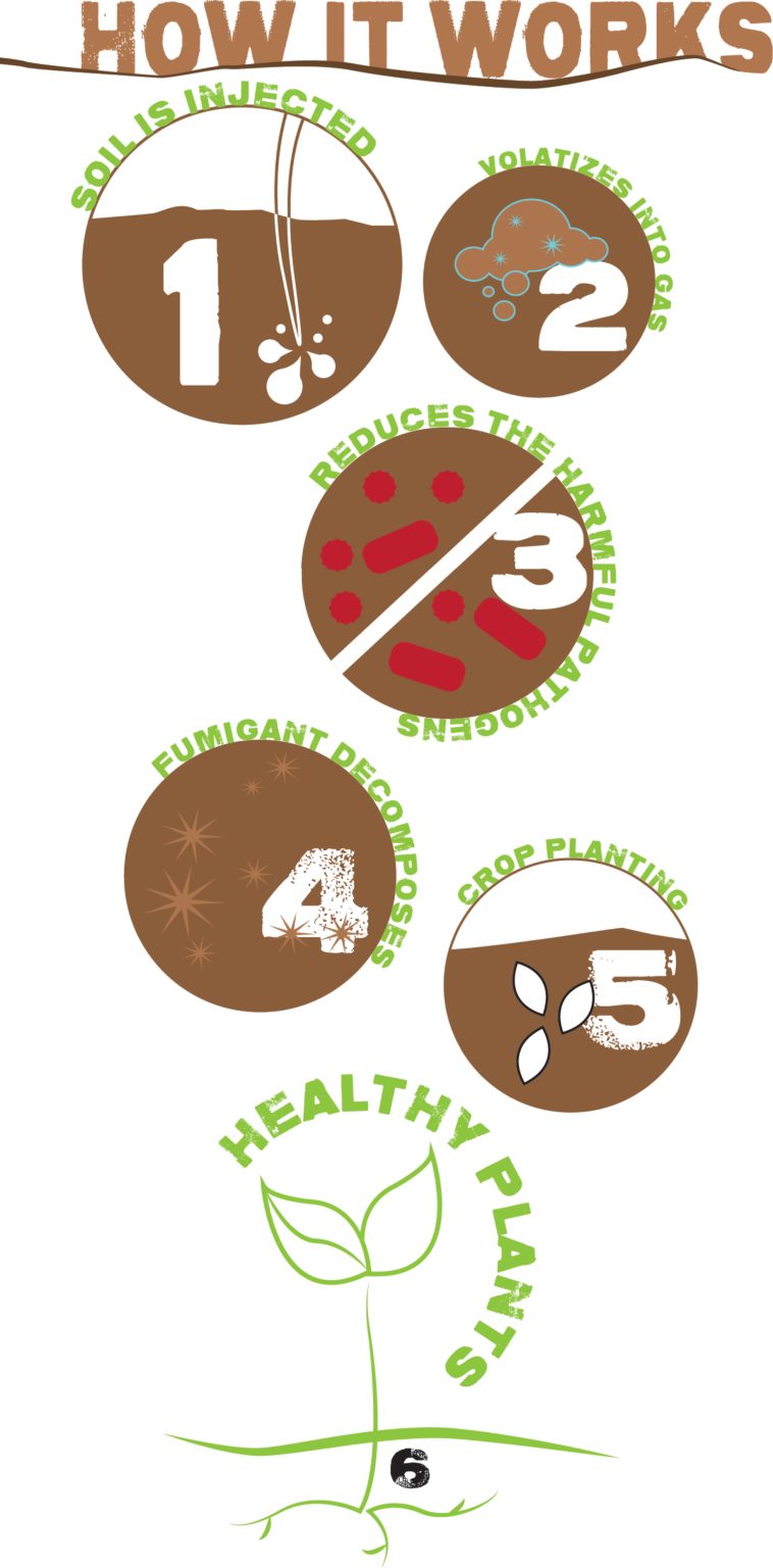 How Soil Disinfestation Works