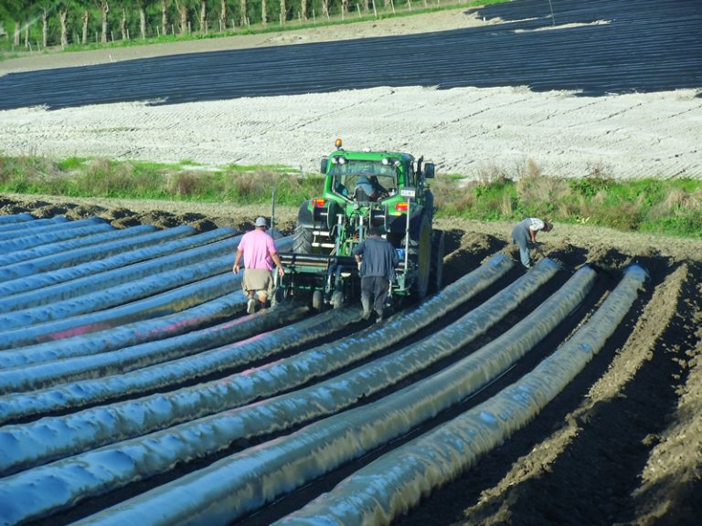 Soil Fumigation